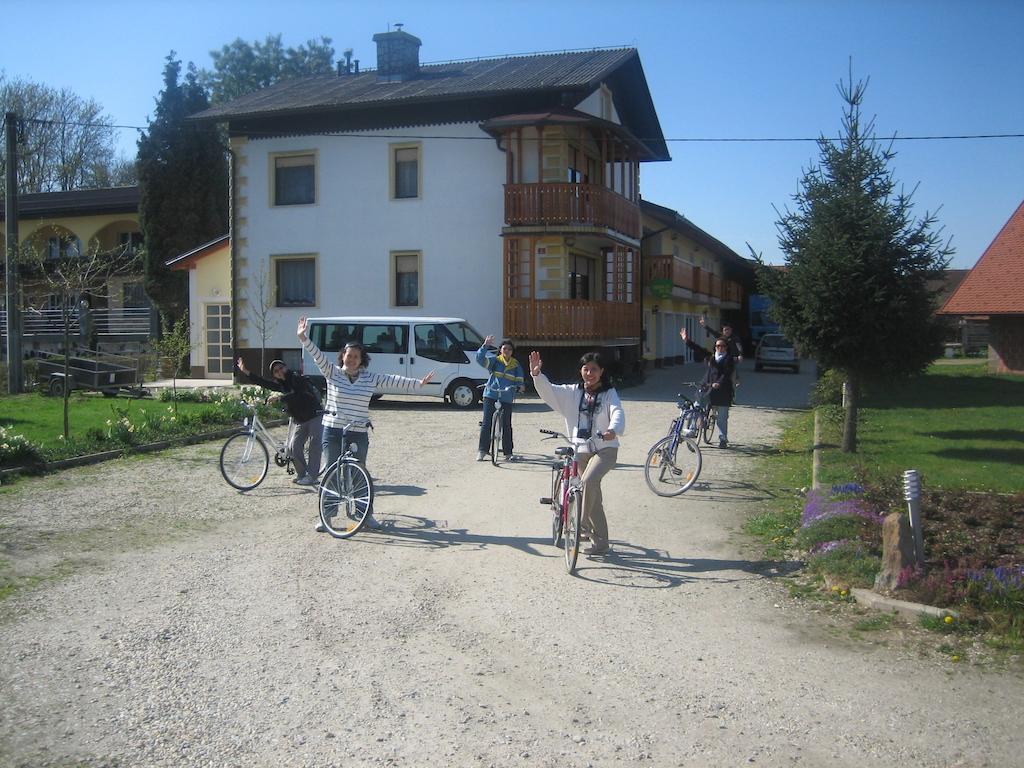 Tourist Farm Salamun Villa Banovci Buitenkant foto