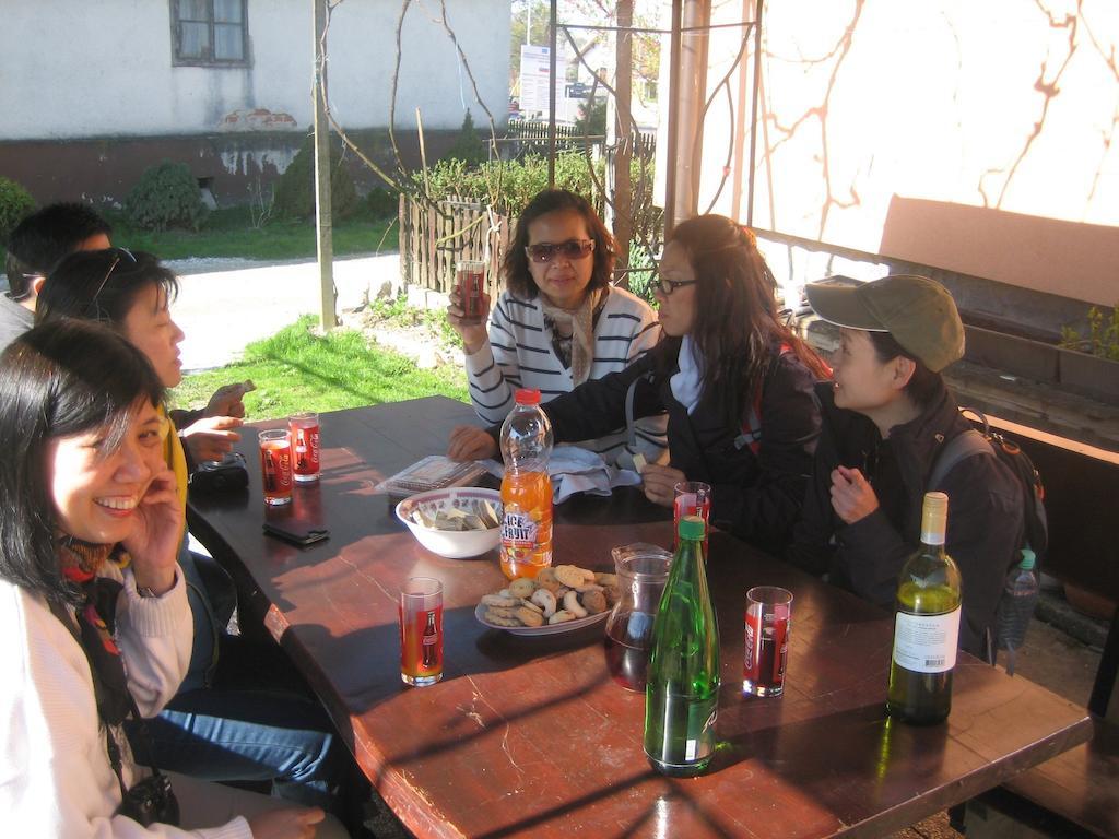 Tourist Farm Salamun Villa Banovci Buitenkant foto