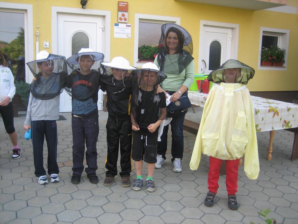 Tourist Farm Salamun Villa Banovci Buitenkant foto