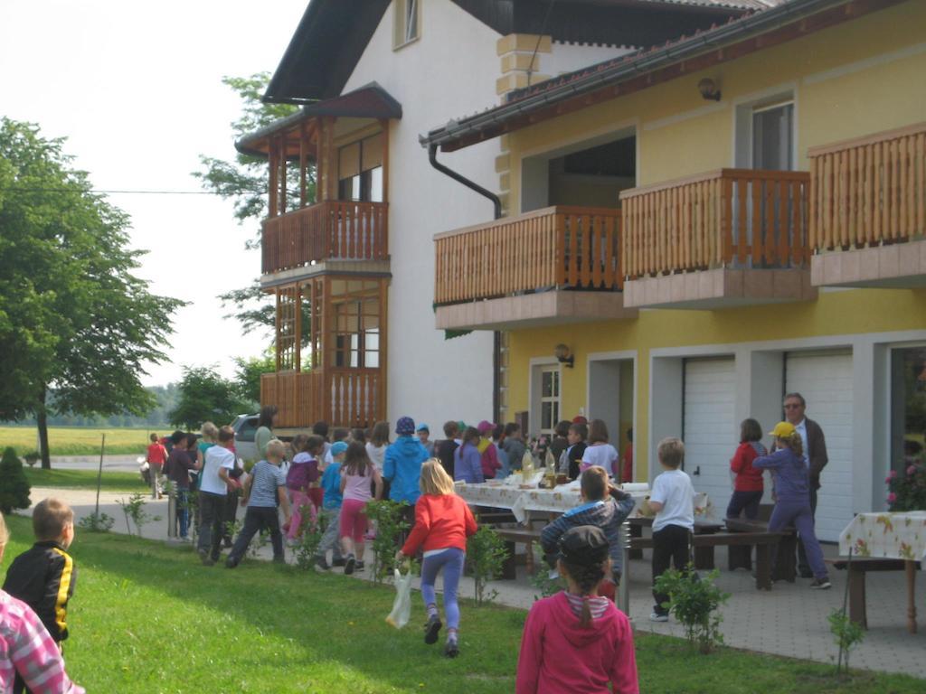Tourist Farm Salamun Villa Banovci Buitenkant foto