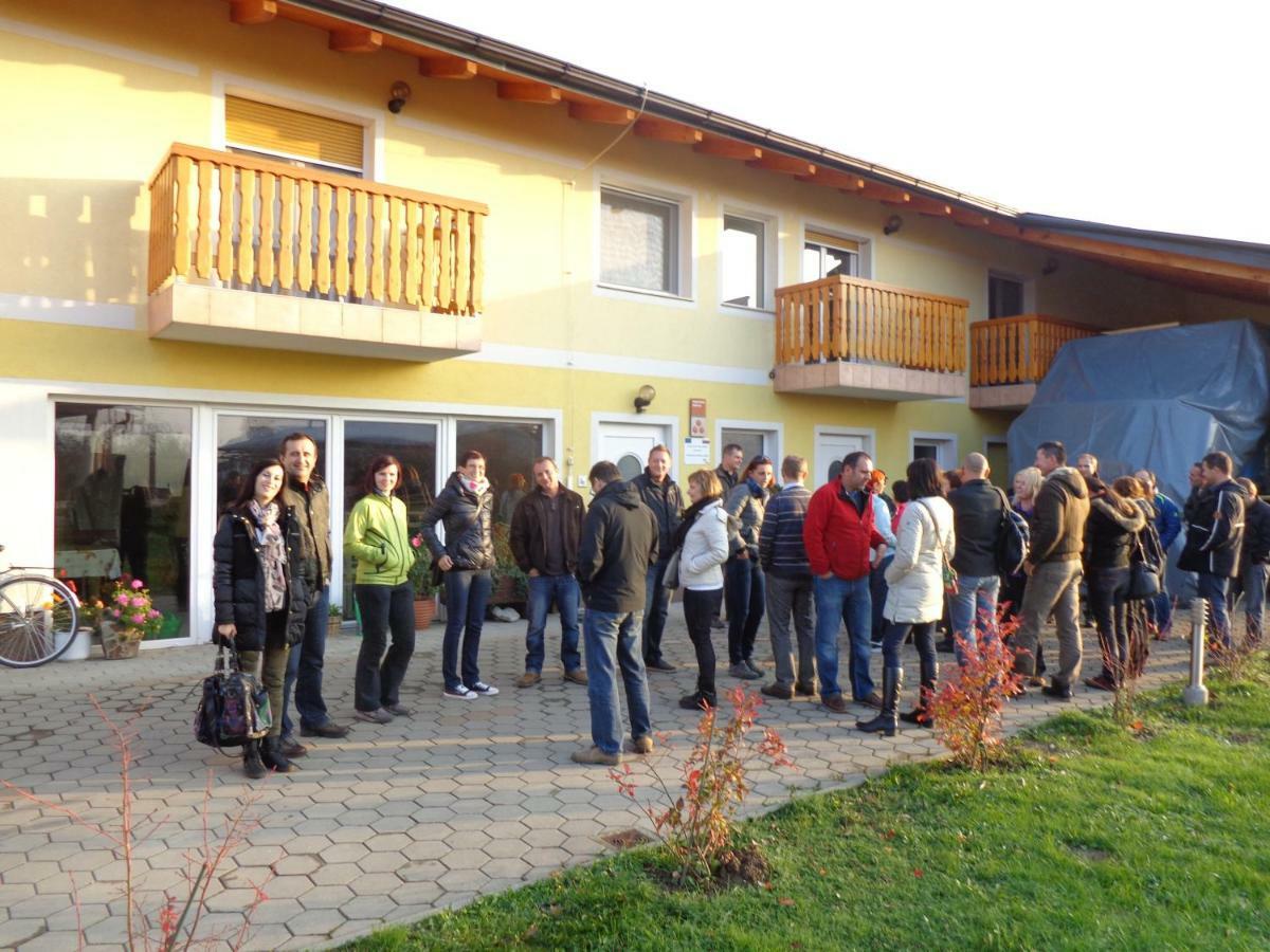 Tourist Farm Salamun Villa Banovci Buitenkant foto
