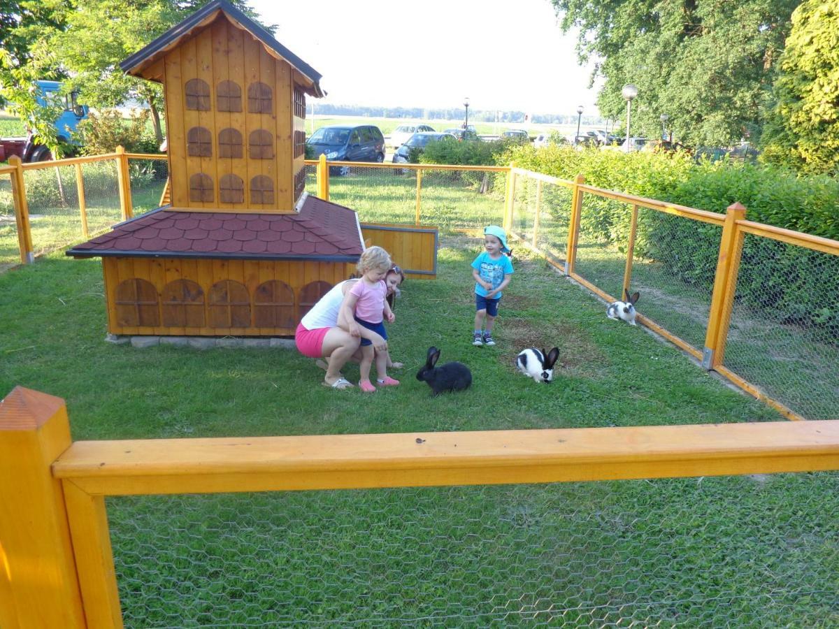 Tourist Farm Salamun Villa Banovci Buitenkant foto
